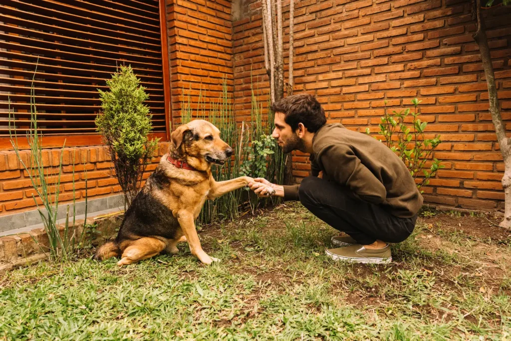 Aruani PetStop – Best dog boarding in Bangalore, a happy dog bonding with a caretaker, enjoying a comfortable stay with professional pet training and loving care.