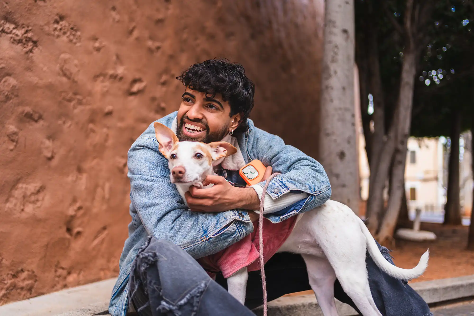 Dog learning commands during training at Aruani PetStop’s Board & Train program in Sarjapur, Bangalore.
